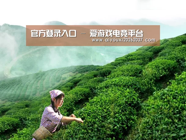 官方登录入口 - 爱游戏电竞平台