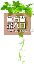官方登录入口 - 爱游戏电竞平台