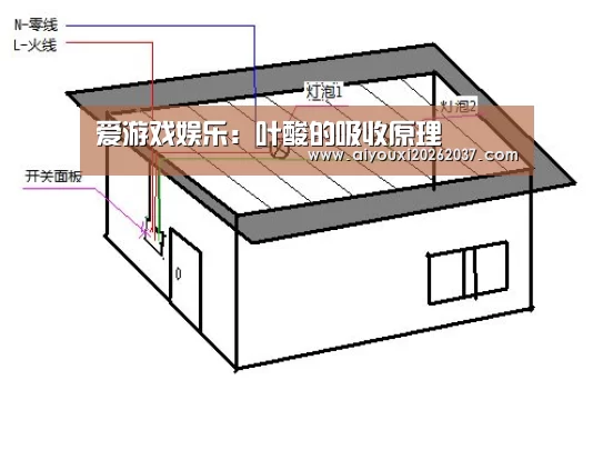 爱游戏娱乐:叶酸的吸收原理(图1) 爱游戏真人