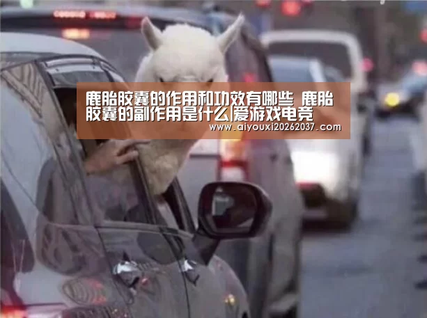 鹿胎胶囊的作用和功效有哪些 鹿胎胶囊的副作用是什么|爱游戏电竞(图2) 爱游戏真人
