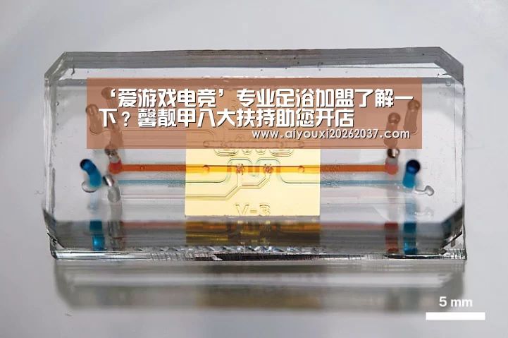 爱游戏娱乐