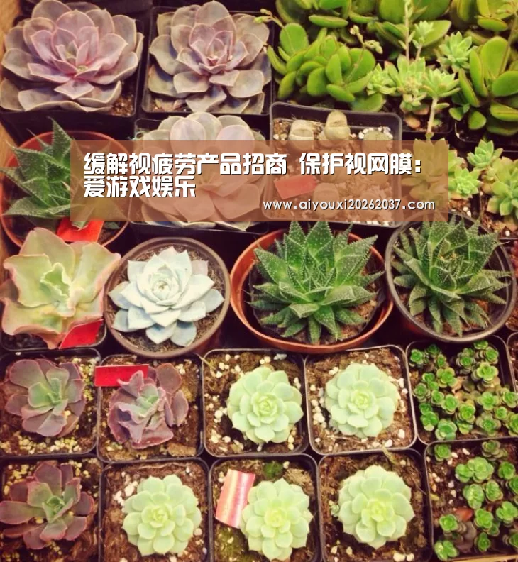 缓解视疲劳产品招商 保护视网膜:爱游戏娱乐(图1) 爱游戏直播