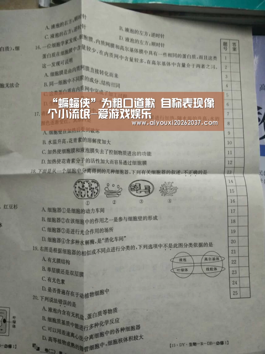 爱游戏电竞
