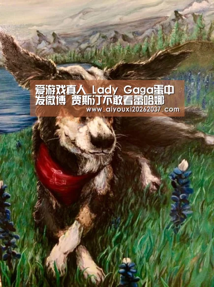 爱游戏娱乐