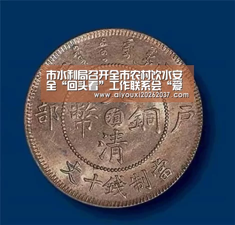 市水利局召开全市农村饮水安全“回头看”工作联系会“爱游戏电竞”(图2) 爱游戏真人
