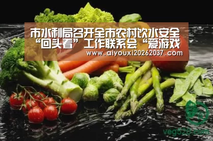 市水利局召开全市农村饮水安全“回头看”工作联系会“爱游戏电竞”(图4) 爱游戏电竞