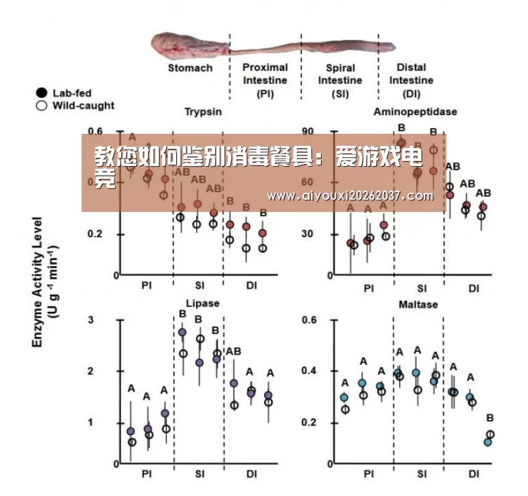 爱游戏电竞