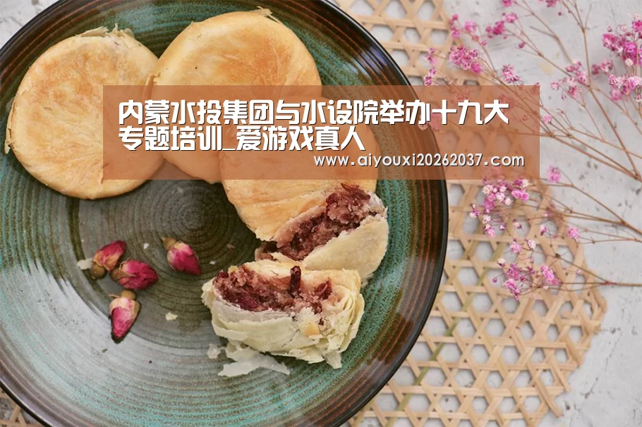 内蒙水投集团与水设院举办十九大专题培训_爱游戏真人(图1) 爱游戏直播