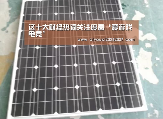这十大财经热词关注度高‘爱游戏电竞’(图2) 爱游戏直播