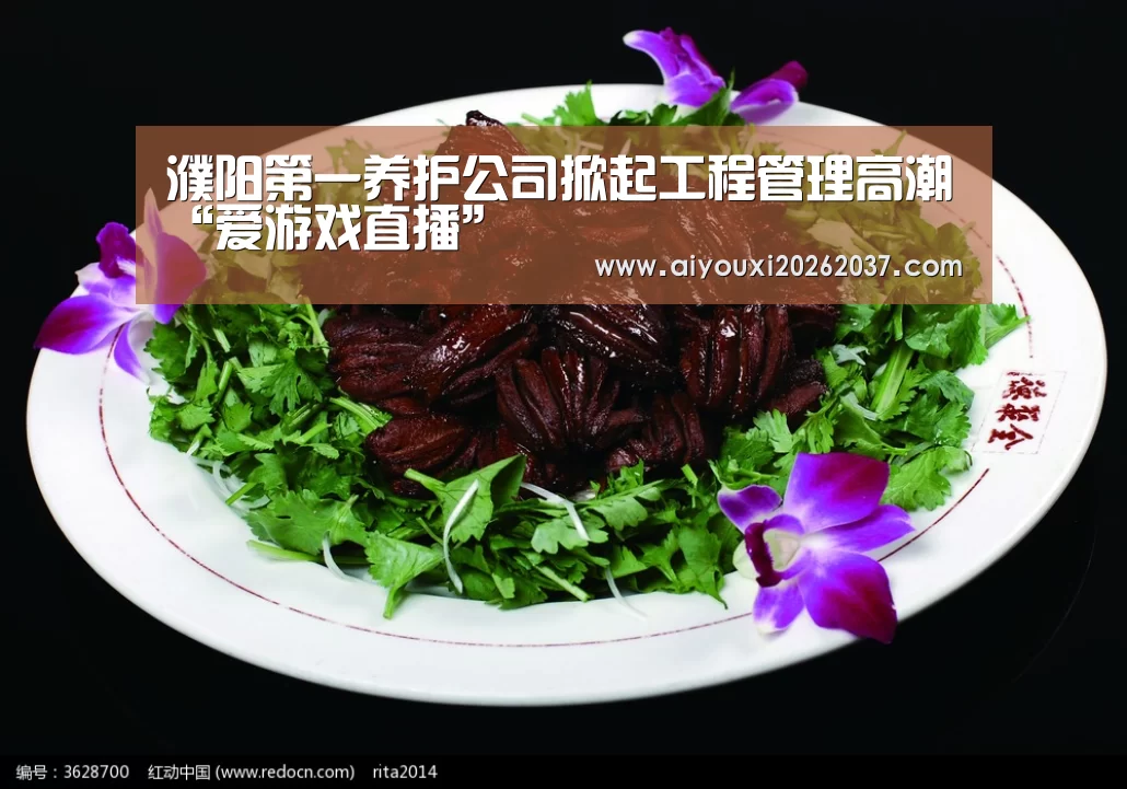 濮阳第一养护公司掀起工程管理高潮“爱游戏直播”(图3) 爱游戏电竞
