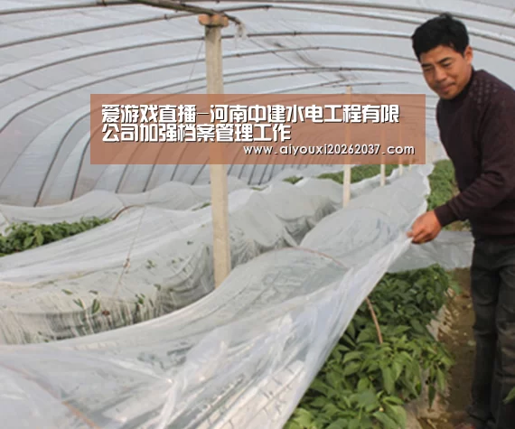 爱游戏直播-河南中建水电工程有限公司加强档案管理工作(图2) 爱游戏娱乐