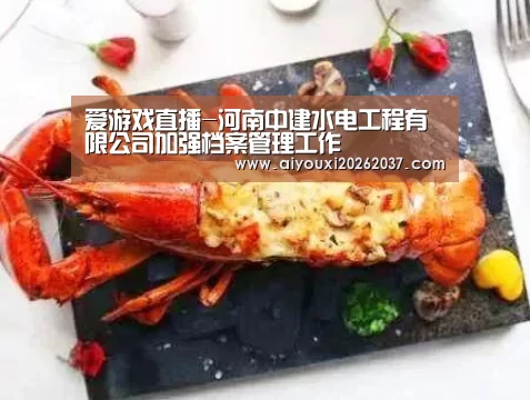 爱游戏直播-河南中建水电工程有限公司加强档案管理工作(图3) 爱游戏直播