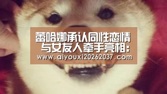 爱游戏电竞