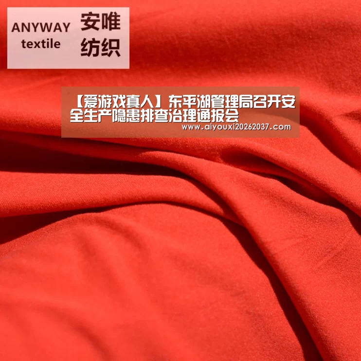 【爱游戏真人】东平湖管理局召开安全生产隐患排查治理通报会(图1) 爱游戏真人