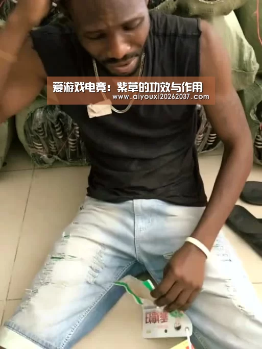 爱游戏电竞:紫草的功效与作用(图1) 爱游戏直播