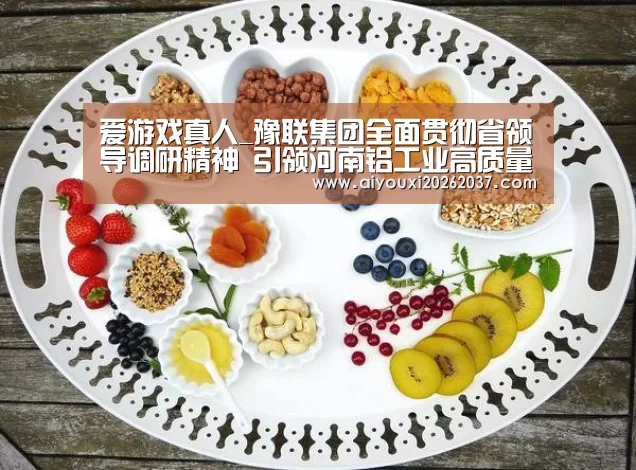 爱游戏真人_豫联集团全面贯彻省领导调研精神 引领河南铝工业高质量发展(图1) 爱游戏电竞