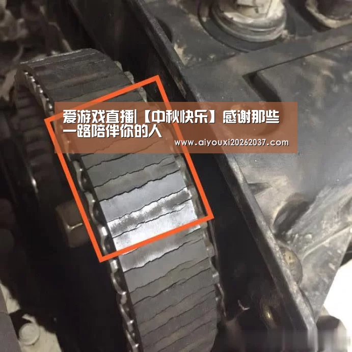 爱游戏直播|【中秋快乐】感谢那些一路陪伴你的人(图4) 爱游戏电竞