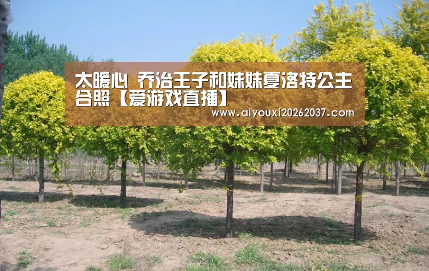 太暖心 乔治王子和妹妹夏洛特公主合照【爱游戏直播】(图2) 爱游戏娱乐