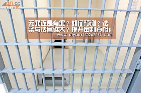 无罪还是有罪?如何预测?法条与法官谁大?揭开审判真相:爱游戏真人(图2) 爱游戏真人