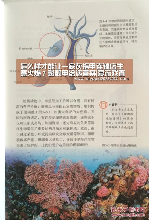 爱游戏娱乐