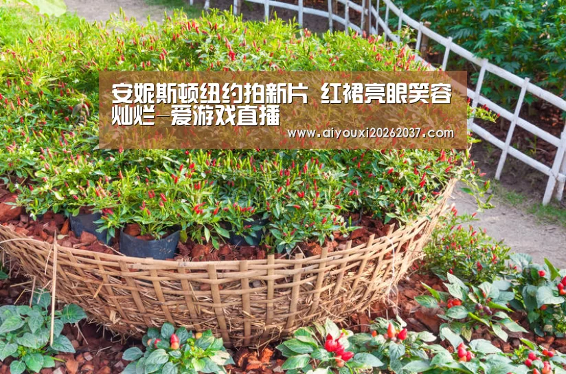 安妮斯顿纽约拍新片 红裙亮眼笑容灿烂-爱游戏直播(图3) 爱游戏电竞