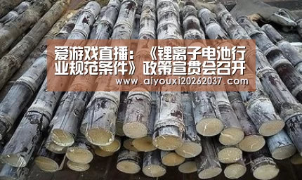 爱游戏娱乐