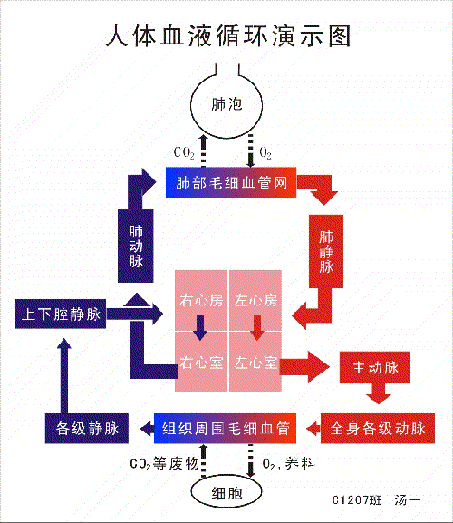 天价疫苗一针860元 家长纠结该不该打“爱游戏娱乐”(图4) 爱游戏直播