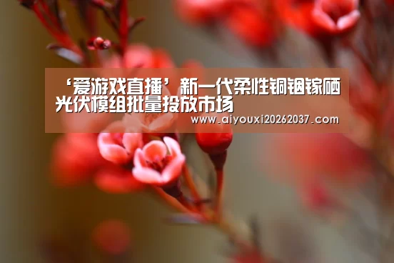 ‘爱游戏直播’新一代柔性铜铟镓硒光伏模组批量投放市场(图1) 爱游戏娱乐