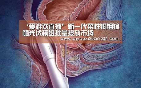 ‘爱游戏直播’新一代柔性铜铟镓硒光伏模组批量投放市场(图2) 爱游戏真人