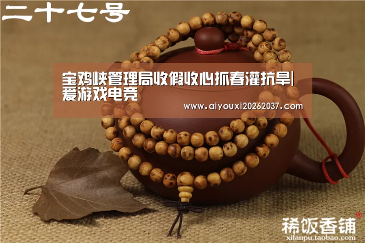 宝鸡峡管理局收假收心抓春灌抗旱|爱游戏电竞(图1) 爱游戏娱乐