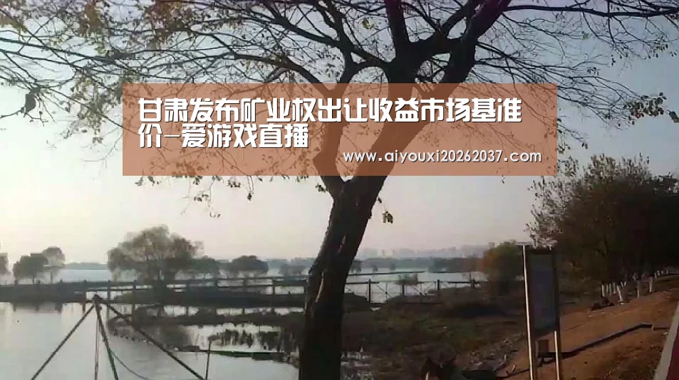 爱游戏娱乐