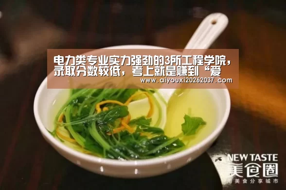 电力类专业实力强劲的3所工程学院,录取分数较低,考上就是赚到“爱游戏直播”(图1) 爱游戏电竞