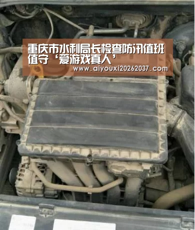 重庆市水利局长检查防汛值班值守‘爱游戏真人’(图1) 爱游戏电竞