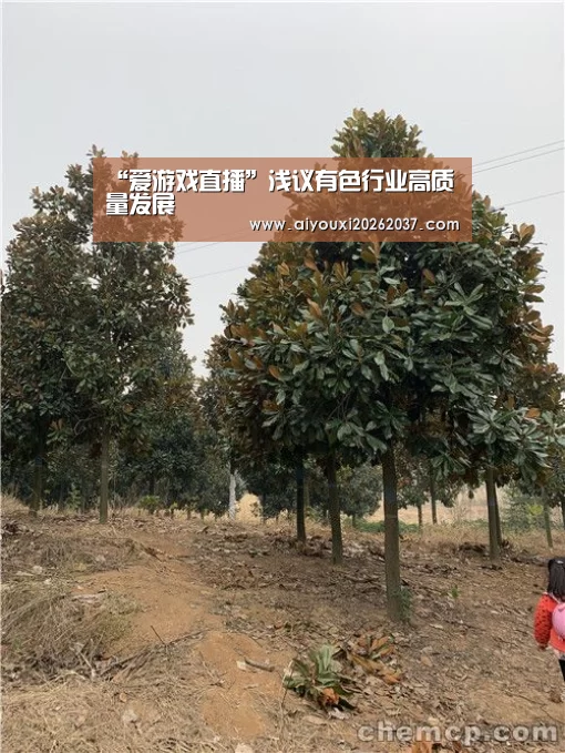 “爱游戏直播”浅议有色行业高质量发展(图3) 爱游戏直播